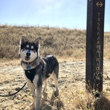 Entry image for Yukon