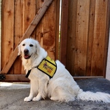 Entry image for Bailey