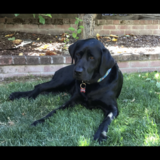 Entry image for George