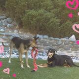 Entry image for Tink and Anya