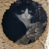 Entry image for Jax/Zoe