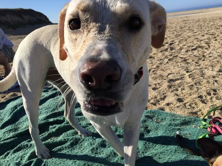 Entry image for Buddy Love. Clicking this image will show a larger photo