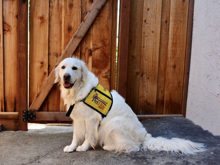 Entry image for Bailey. Clicking this image will show a larger photo