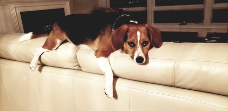 Penny