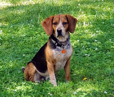 Benny