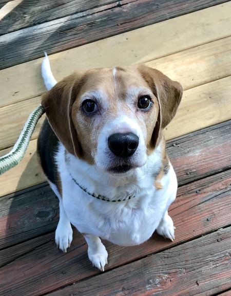 Charley