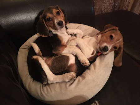 Fiona and Ginger