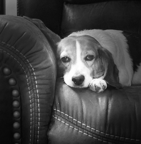 Doug