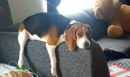 Benny