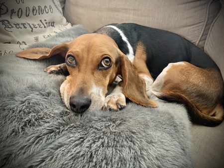 Benny