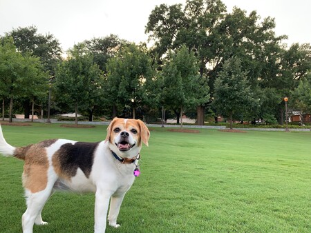Ellie