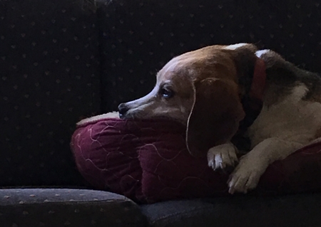 Charlie
