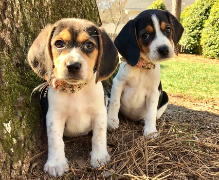 Lucy & Molly (sisters)