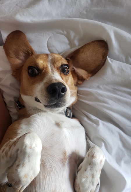 Rusty