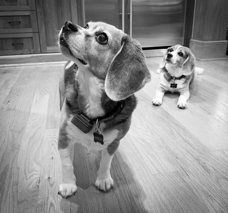 Molly and Max