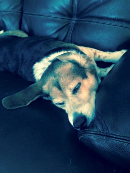 Cooper 
