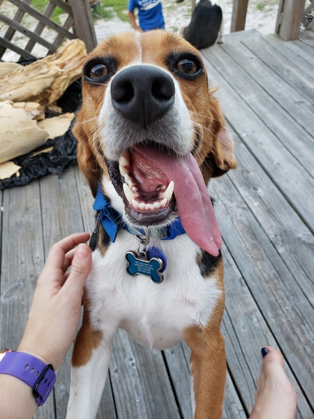Sammy