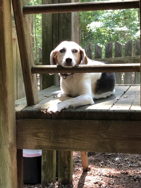 Sophie