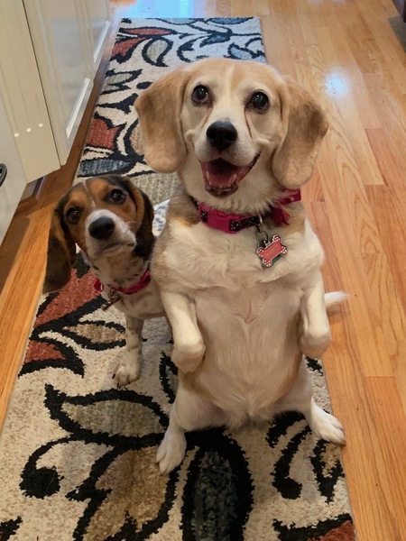 Ivy and Marcy
