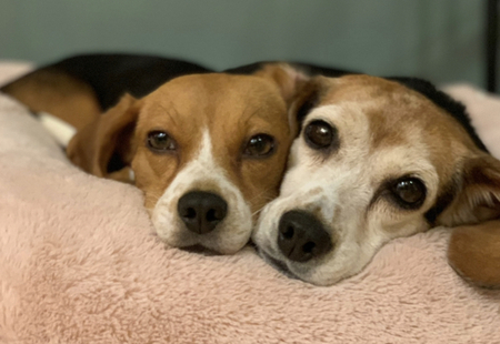 Mae & Stella
