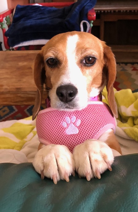 Pearl Grace