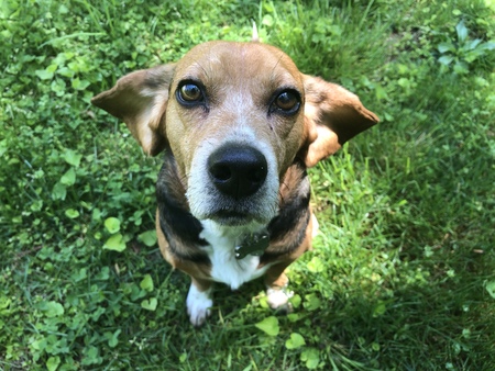 Zeke 