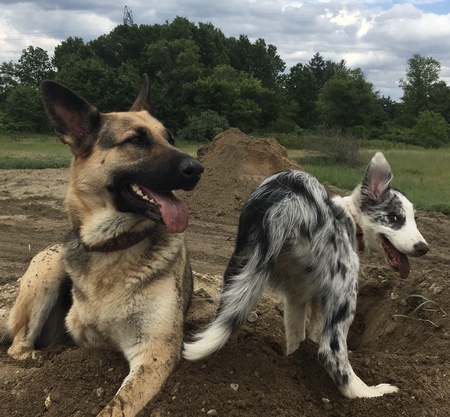 Elsa and Nigel