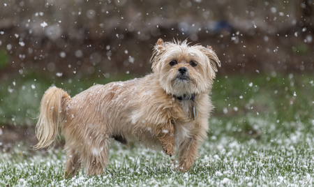 Walking in a Winter Wonderland
