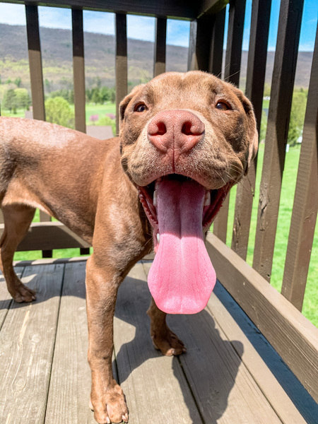 Remi