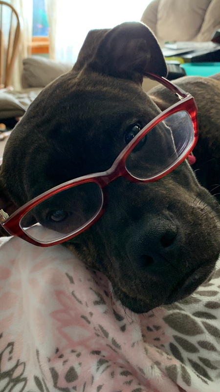 Penelope aka Penny the Pitt aka Princess P