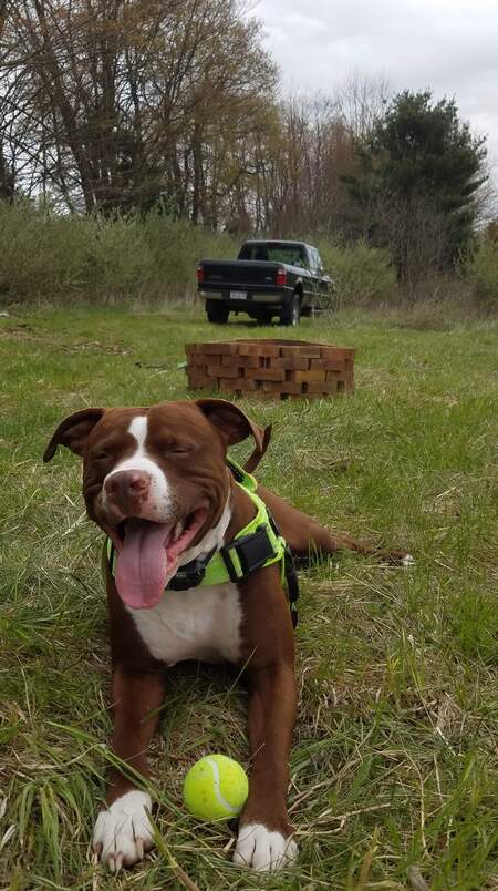 Opie
