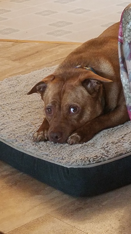Copper