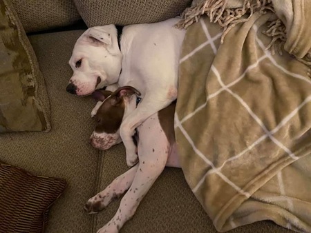 Titus and Flint