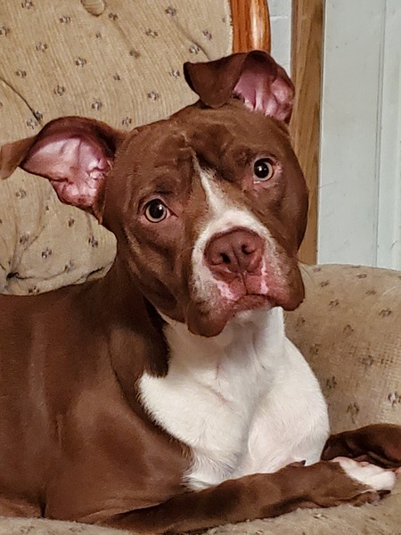 Gracie Jane