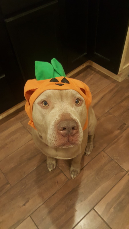 Dez
