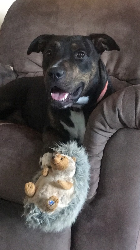 Kora 
