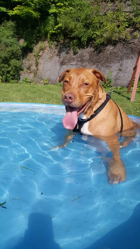 Scooby