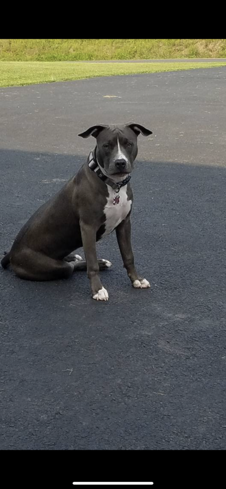 Josie