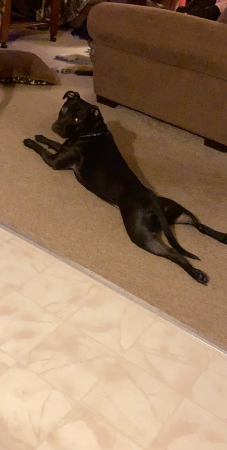 Milo