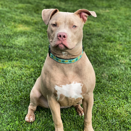 Kali