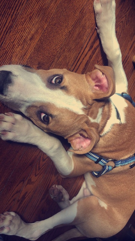 Jax