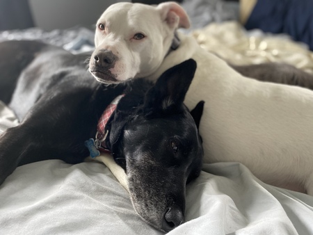 Libby & Rufus