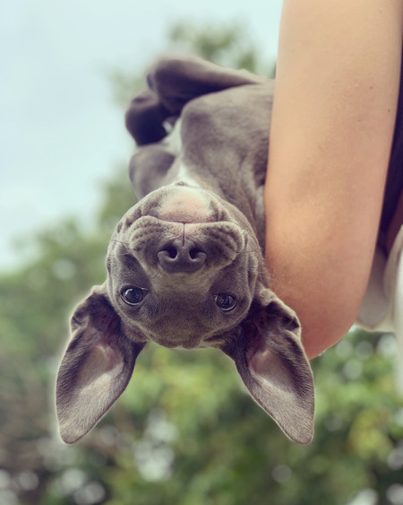Ellie