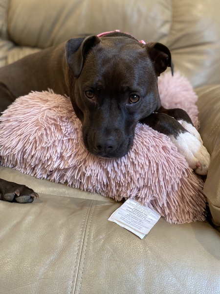 Meeka