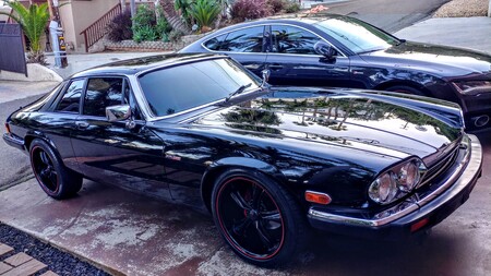 Black Beauty