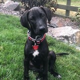 Entry image for Barry