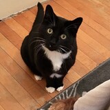 Entry image for Jack