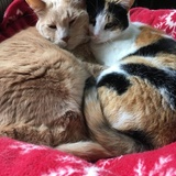 Entry image for Larry & Lucille