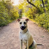 Entry image for Pete