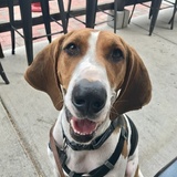 Entry image for Dr Rick Marshall